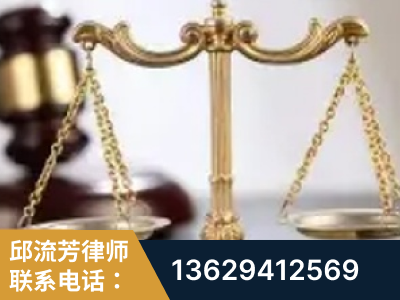 广水-委托诉讼代理人出庭